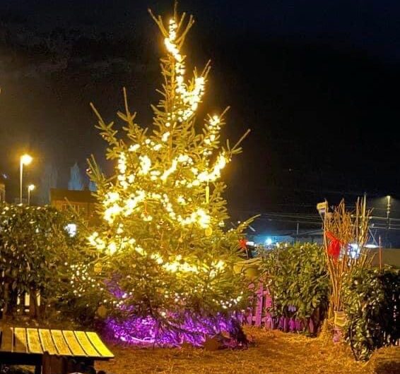 HOPE FOR JULIA Christbaum und Adventshaus